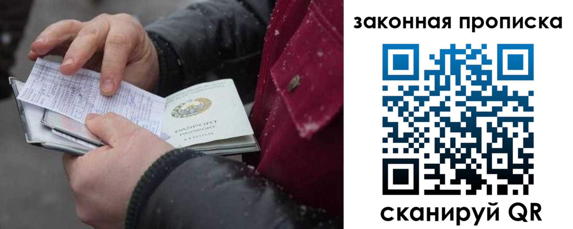 прописка поиск в Ермолино